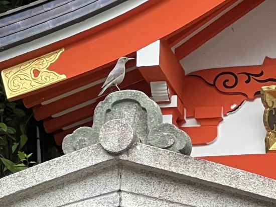 ベッセルホテルカンパーナ京都五条 クーポン