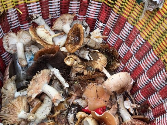 黑水山間畫裏客棧優惠