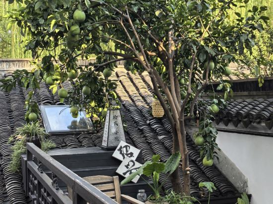 紹興拾貳樸宿優惠