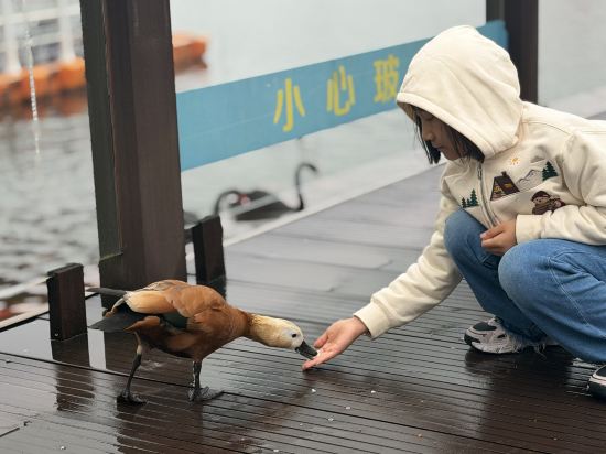 南京紫清湖温泉度假酒店優惠