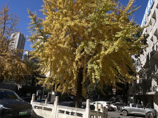 麗楓酒店（郴州五嶺廣場店）優惠