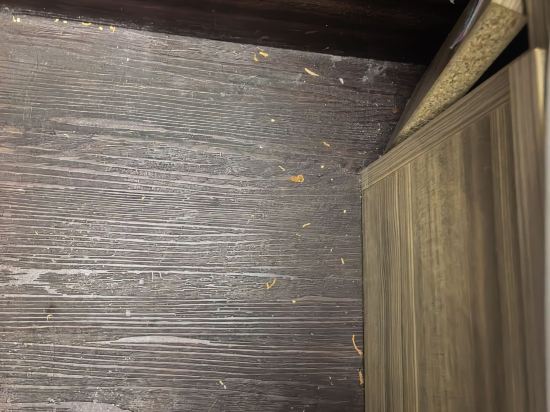 天津木槿飯店（五大道旅遊區小白樓地鐵站店）優惠