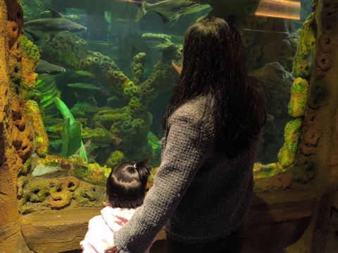 佛山順德長鹿度假村優惠