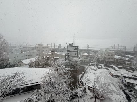湯煙之宿 雪之花優惠