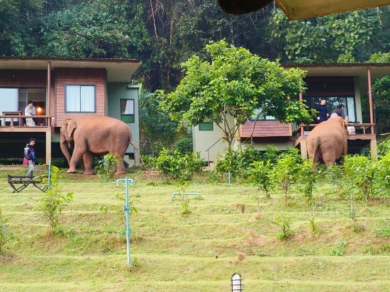 清邁大象之友酒店優惠
