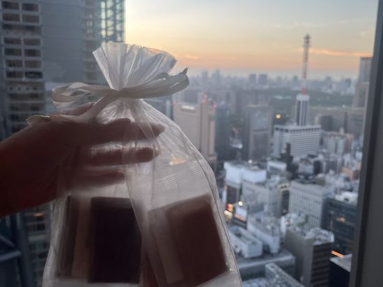 THE 皇家花園 ICONIC飯店 東京汐留優惠