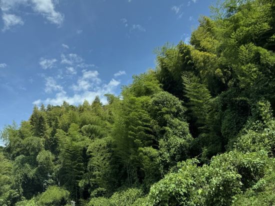 六妙溫泉湯日式旅館優惠