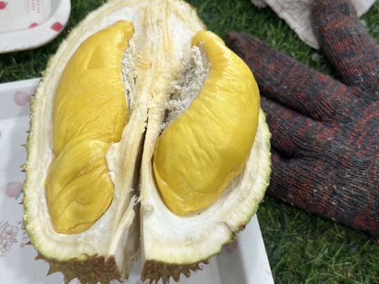 馬六甲高尚度假飯店優惠