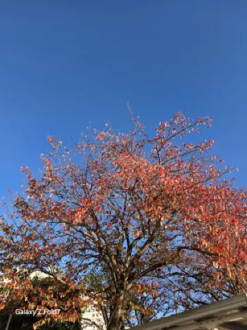 御殿場高原 時之栖 ホテル周辺 Photos