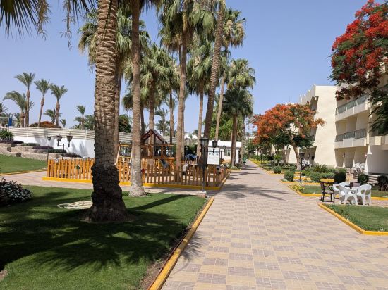 ZYA赫爾格達雷吉娜水上公園度假村優惠