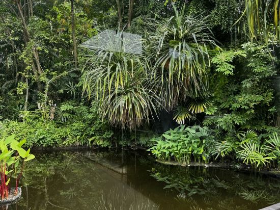 新加坡聖淘沙名勝世界逸濠酒店（Staycation Approved）優惠