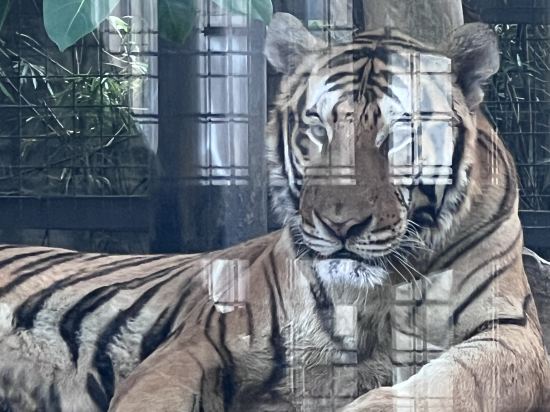 東莞隱賢山莊酒店優惠