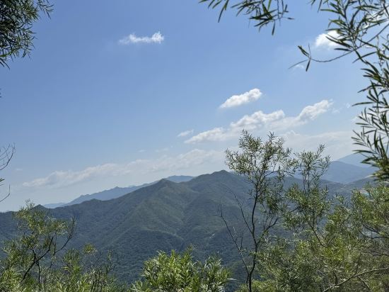 深圳北站王牌國際飯店優惠