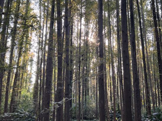 上海西郊賓館優惠