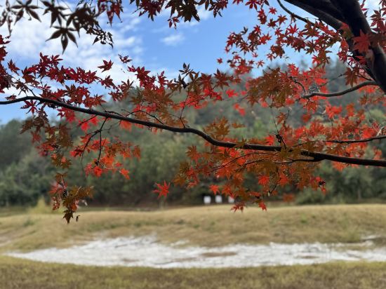 大樂之野（安吉桃花源店）優惠