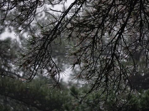 黃山獅林大酒店優惠
