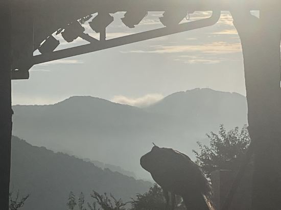 호텔 드 포레 쿠폰