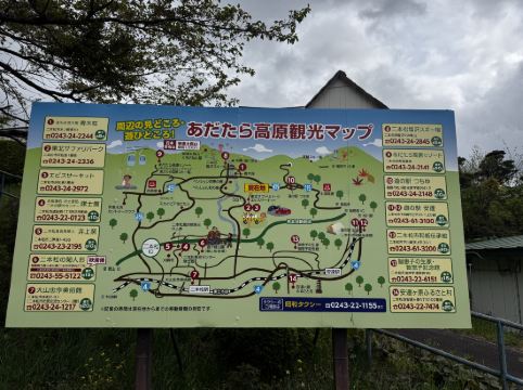 マウントイン クーポン