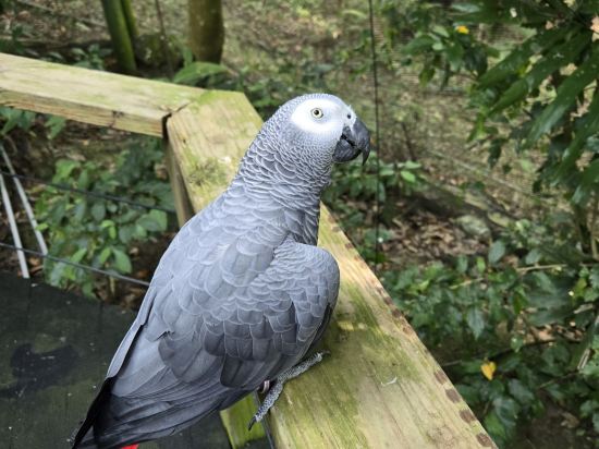 新竹國賓大飯店優惠