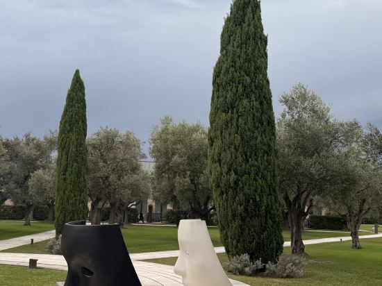 JW萬豪威尼斯度假酒店及水療中心優惠