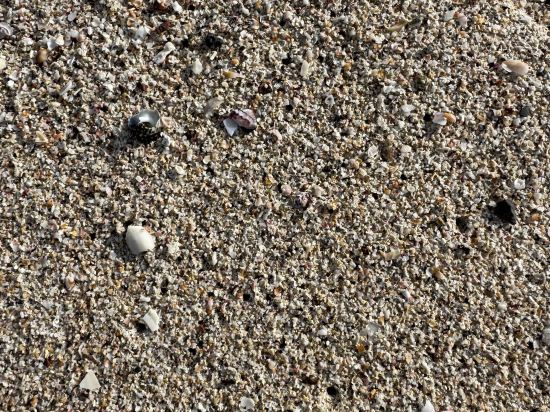 제주 마레보비치호텔 쿠폰