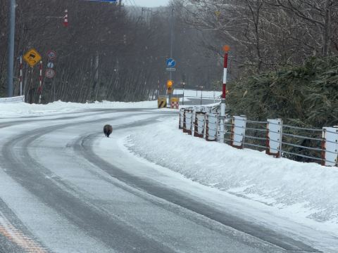登別 石水亭 クーポン
