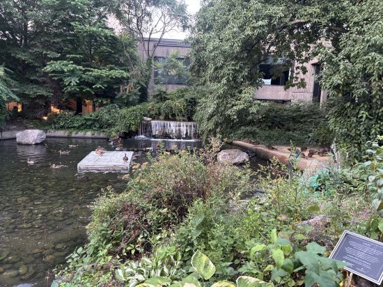 蒙特利爾文德酒店優惠