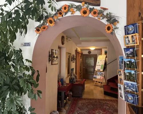 Hotel Villa Emilia Area Publik Photos