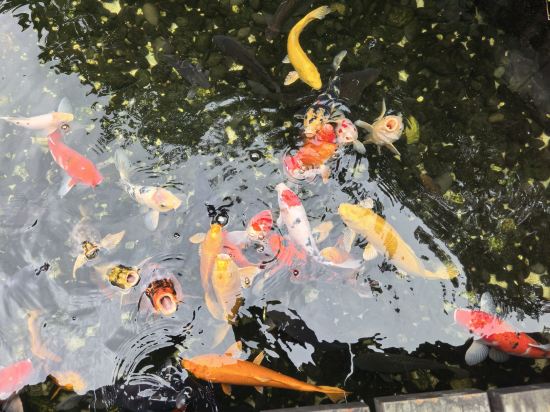 璞意隱居烏鎮精品民宿優惠