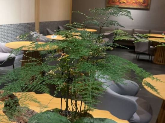 朗麗茲太和府飯店（北京生命科學園地鐵站店）優惠