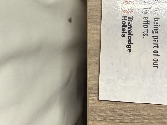 新加坡港灣彩鴻酒店 （Staycation Approved）優惠