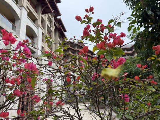 海口萬豪酒店優惠