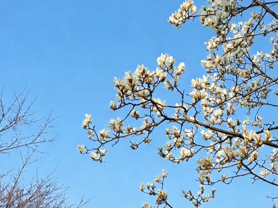 杭州西湖國賓館·西湖第一名園優惠