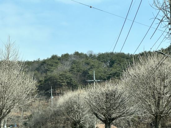 홍천 오캄럭스클럽펜션 쿠폰