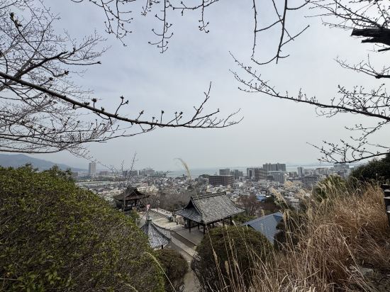 スーパーホテル大津駅前 クーポン