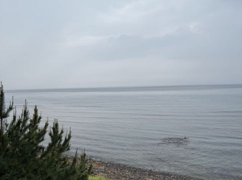 マリンタラソ出雲 クーポン