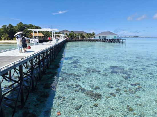 仙本那愛潛海浪酒店優惠