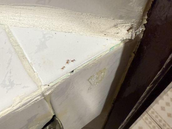 芭堤雅AA酒店優惠