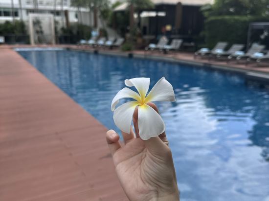 索菲特曼谷素坤逸酒店 - SHA Extra Plus 認證優惠