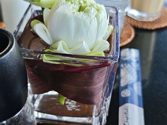 布吉帕瑞莎度假村 （SHA Extra Plus）優惠