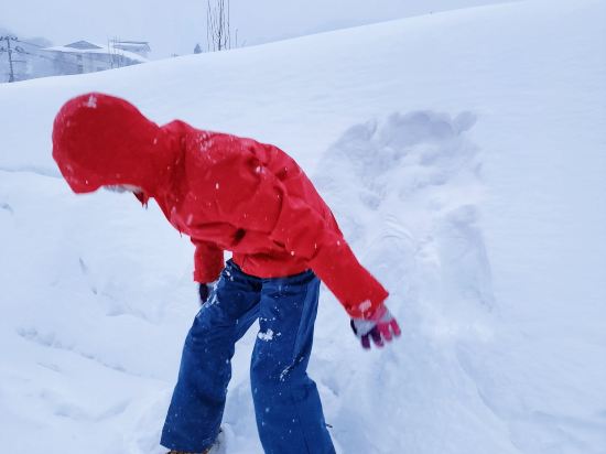 和歌（うた）の宿 わかまつや クーポン