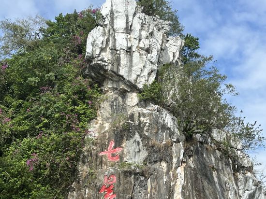 麗呈朗譽酒店（肇慶七星巖景區店）優惠