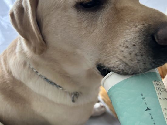 全季飯店（北京亞運村鳥巢店）優惠