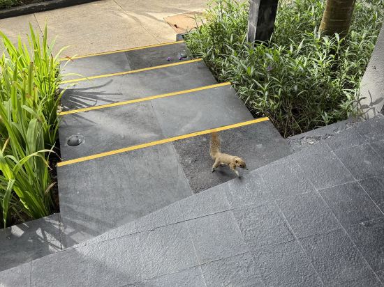 峇里島勒吉安海灘鉑爾曼酒店優惠