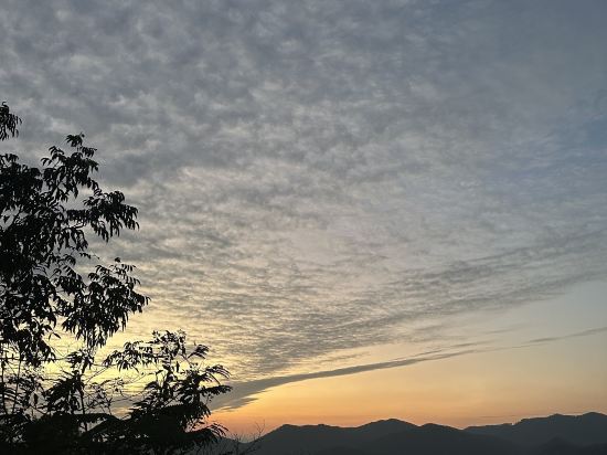 廣州九龍湖國王酒店優惠