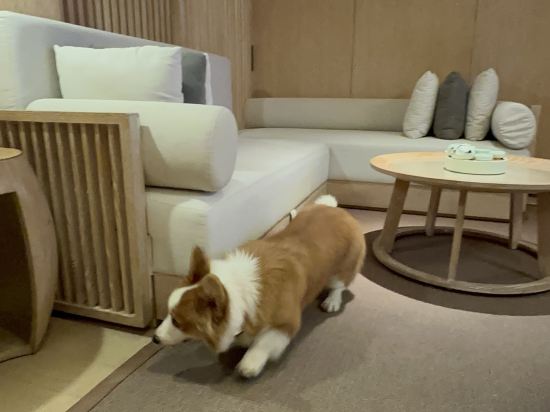 深圳蛇口希爾頓南海酒店優惠