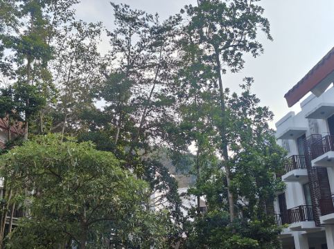 雲浮迎賓館優惠