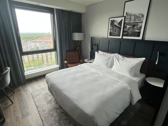 哥本哈根斯堪的納維亞麗笙酒店優惠