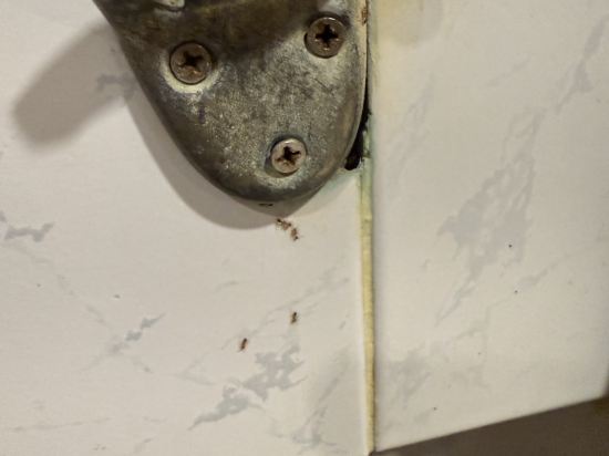 芭堤雅AA酒店優惠