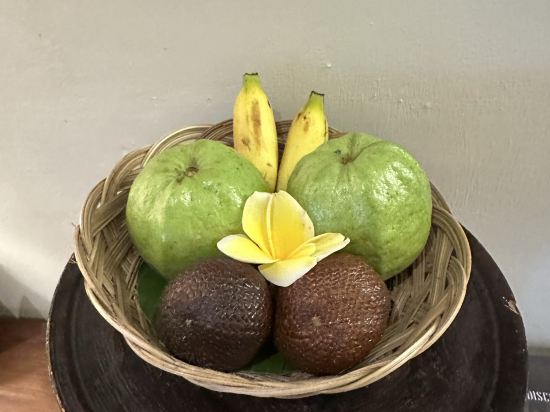 烏布鄉村飯店優惠